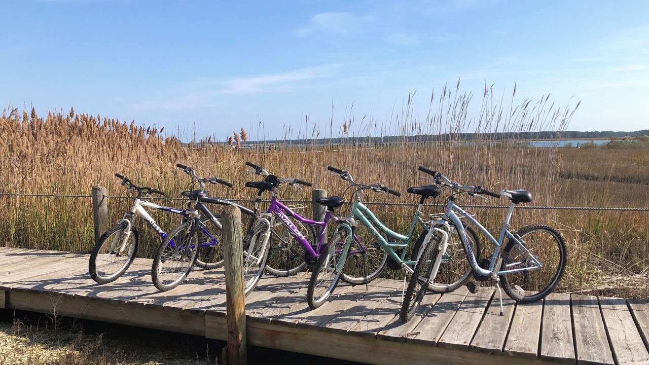 Photo of Outdoor in Chincoteague