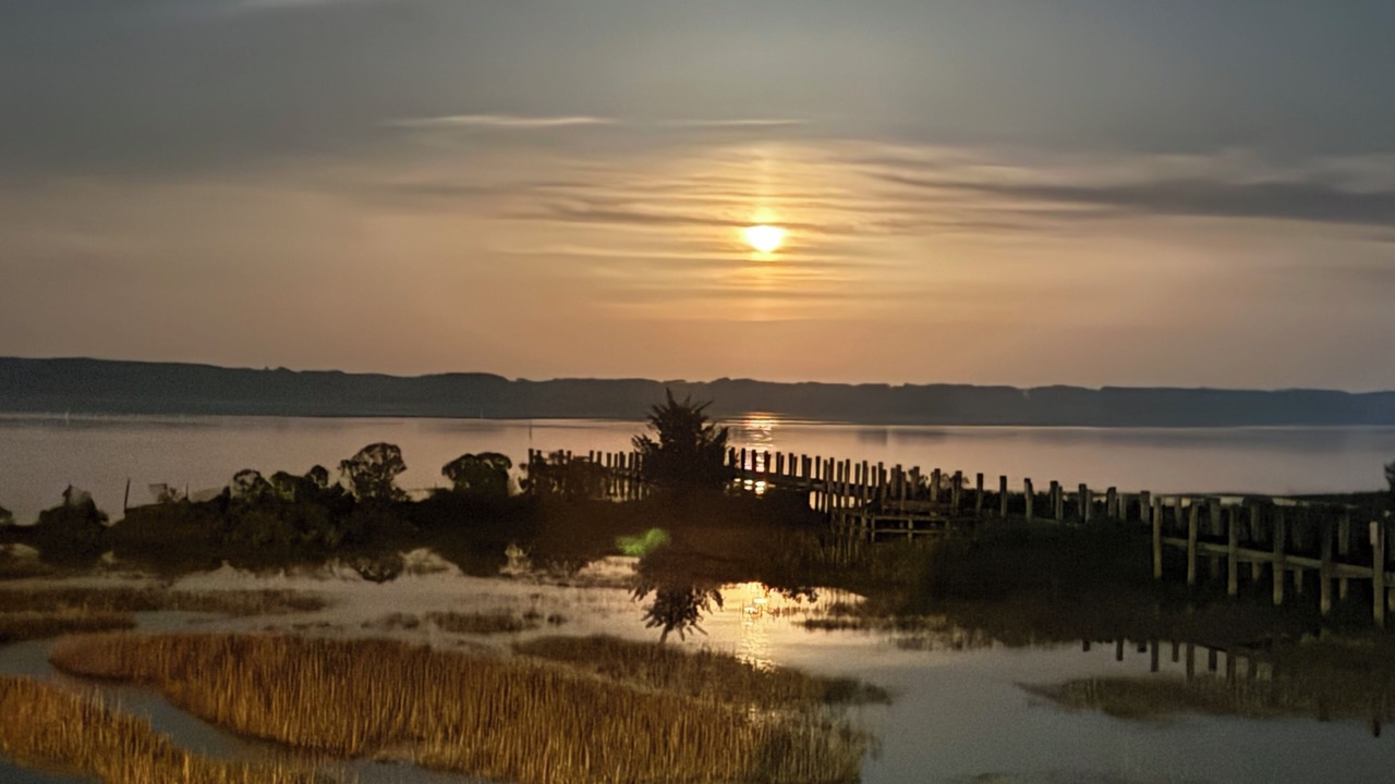 Photo of Others in Chincoteague