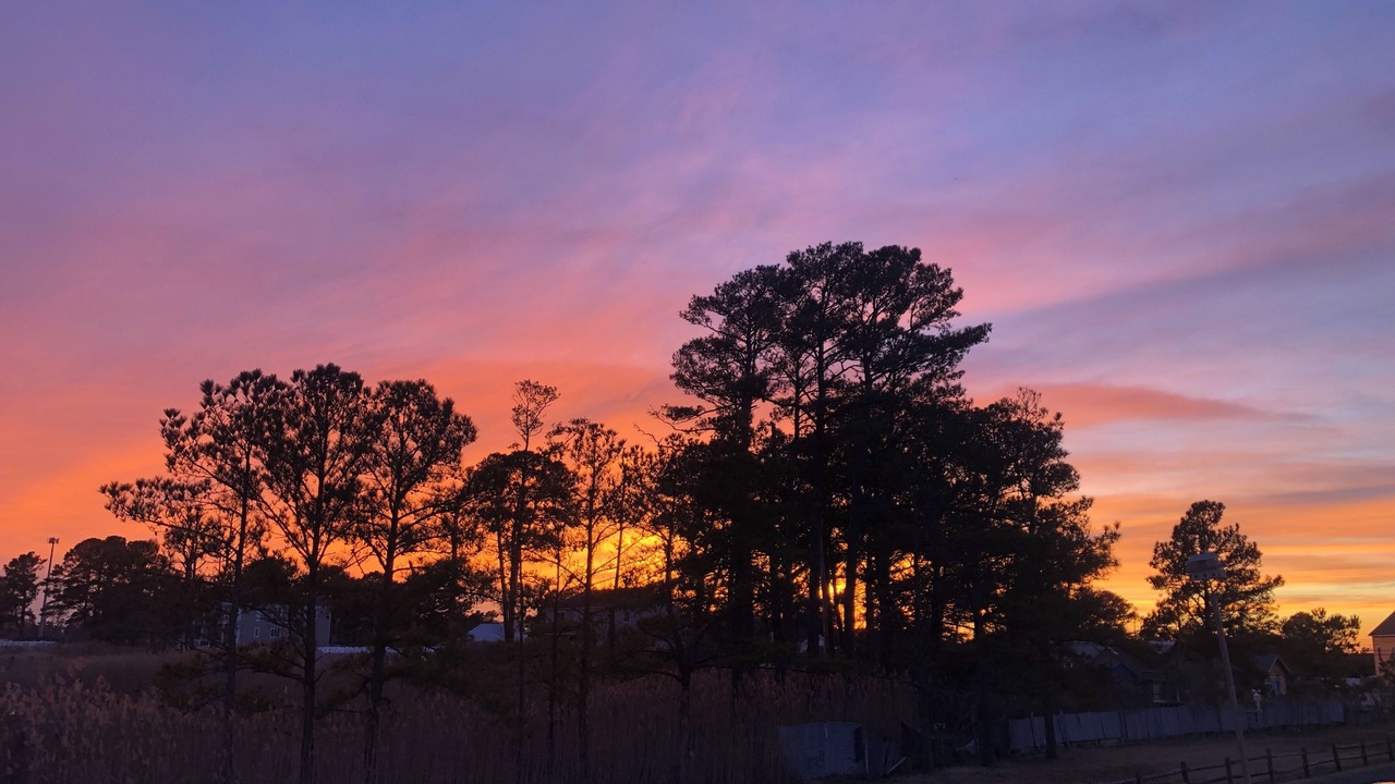 Photo of Outdoor in Chincoteague