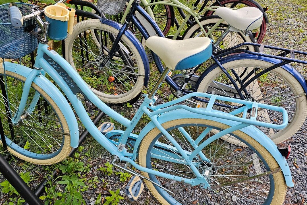 Photo of Others in Willsboro