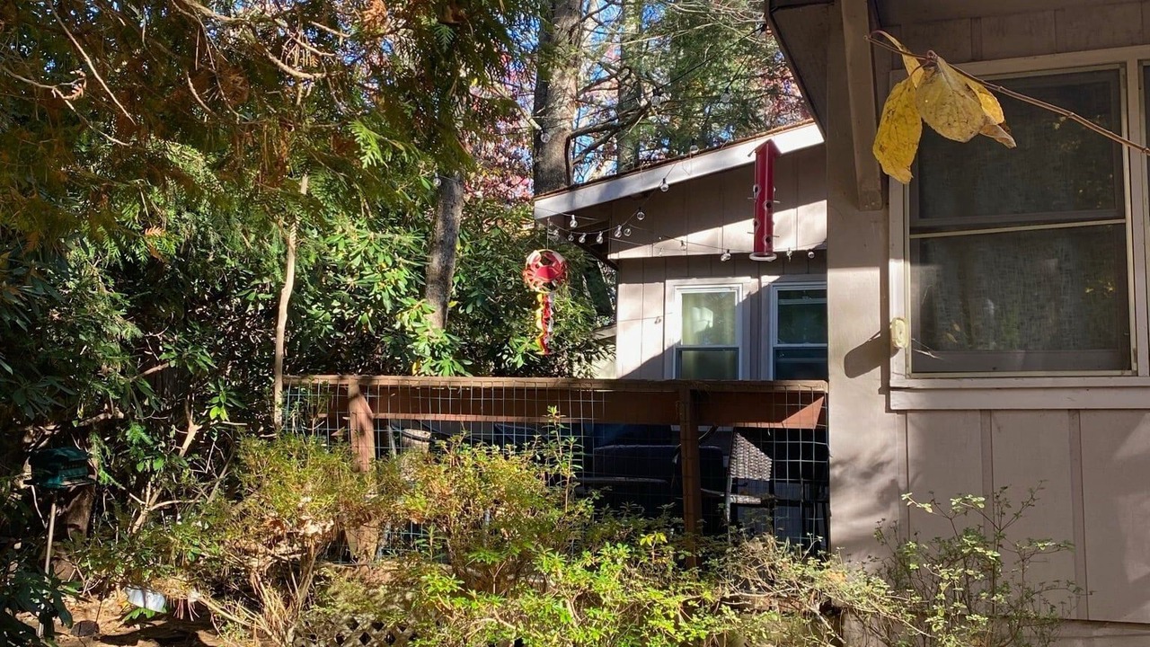 Photo of Outdoor in Newland