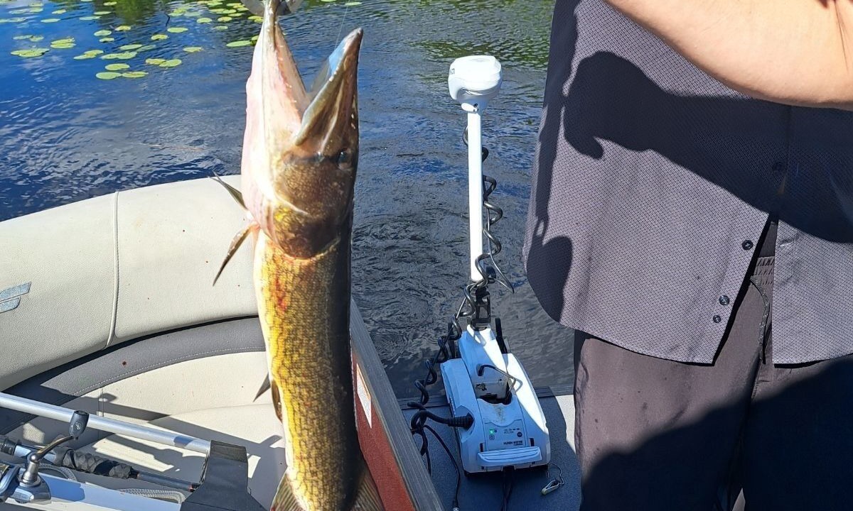 Photo of Others in Lake George