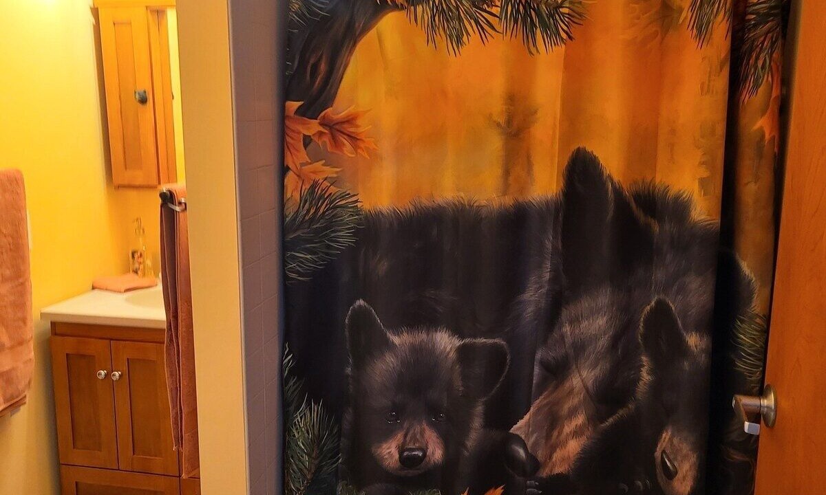 Photo of Others in Lake George