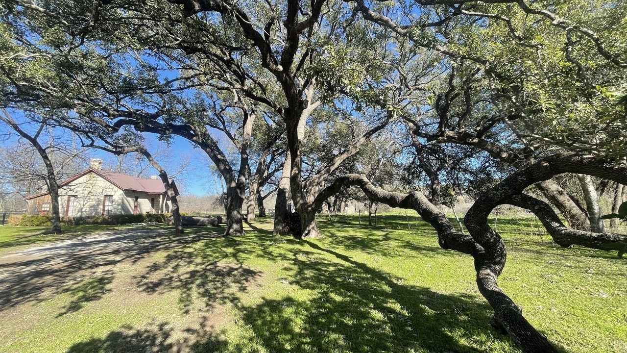 Photo of Outdoor in Hico