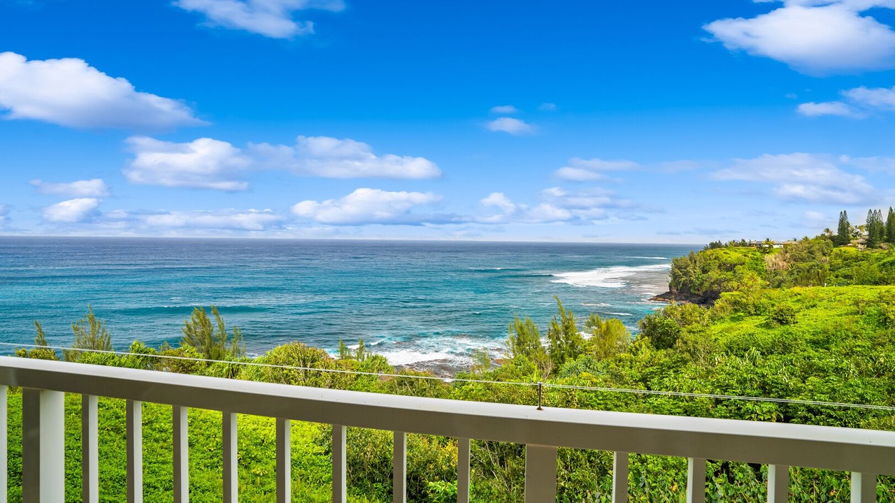 Photo of Others in Princeville