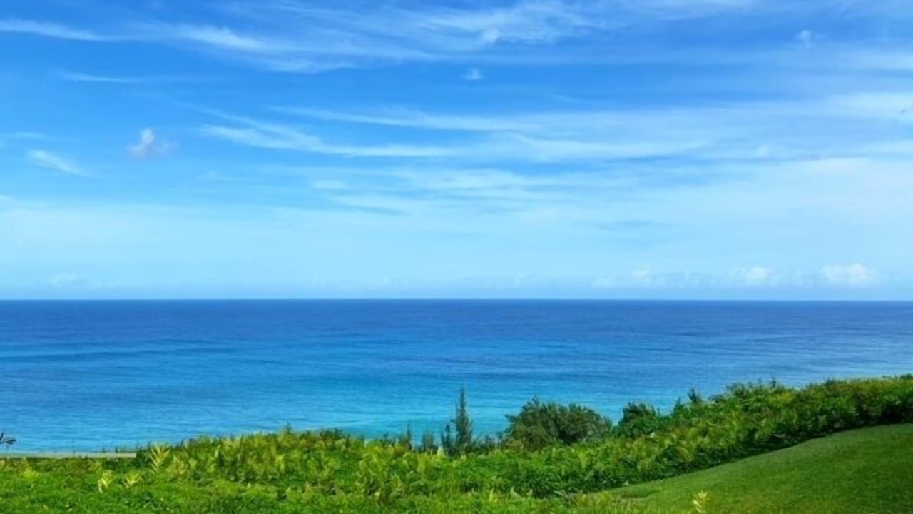 Photo of Others in Princeville