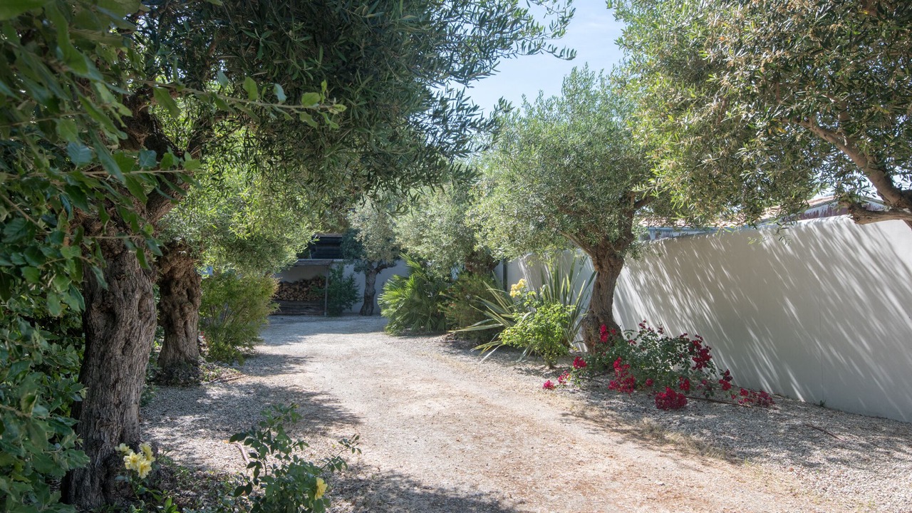 Photo of Outdoor in La Couarde-sur-Mer