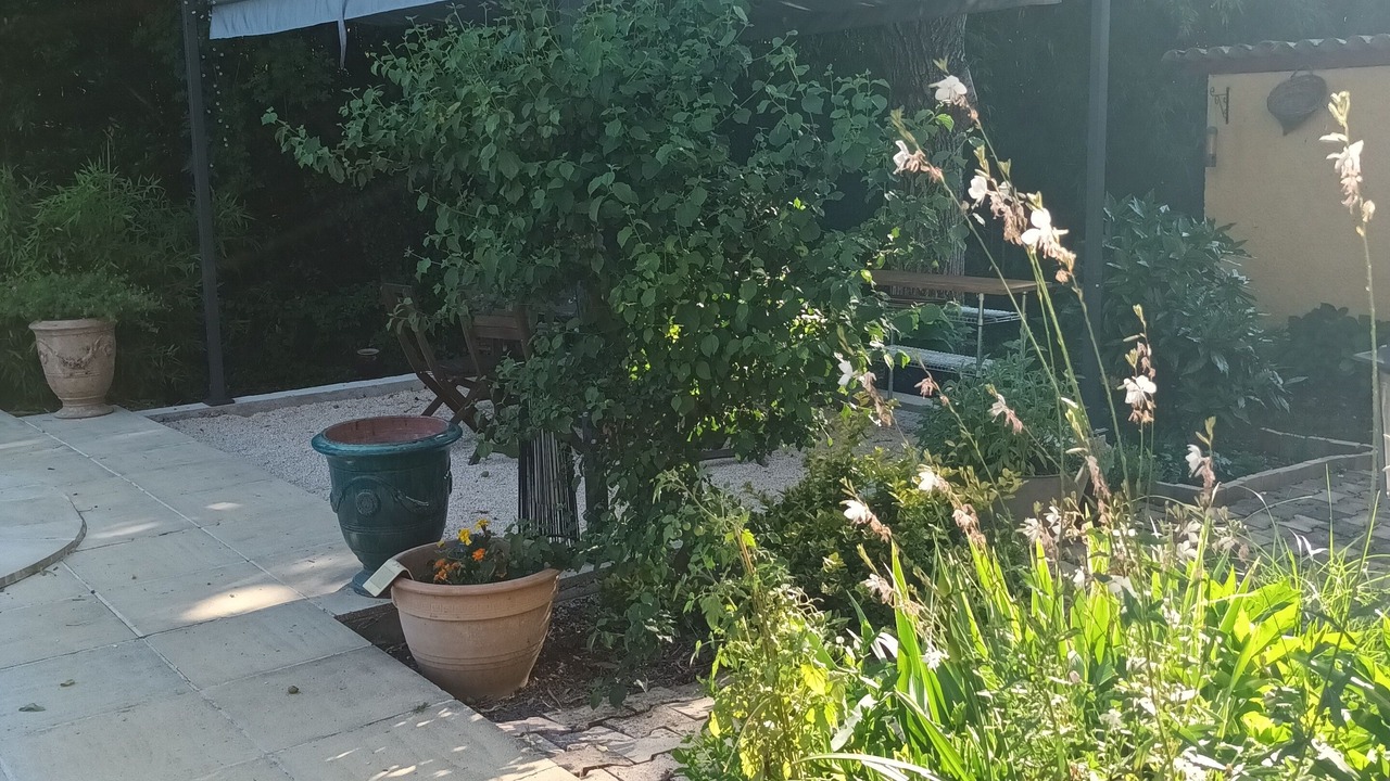 Photo of Outdoor in Saint-Julien-de-Cassagnas