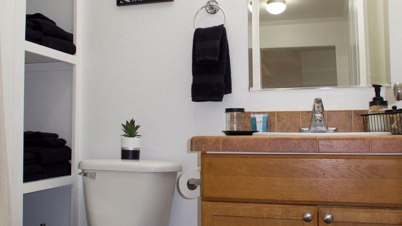 Photo of Bathroom in Monahans