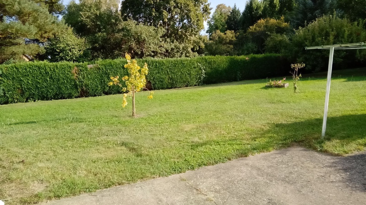 Photo of Outdoor in Marmoutier