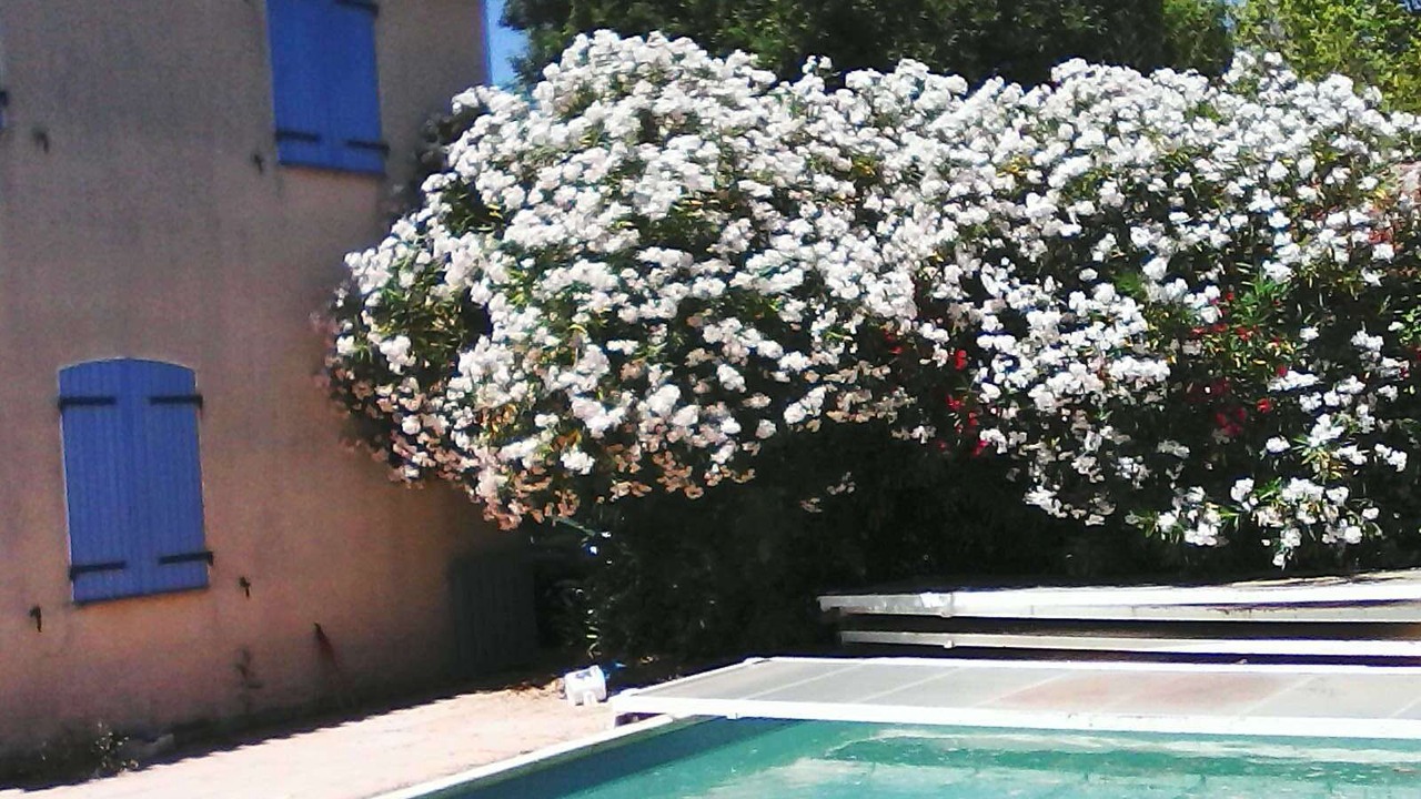 Photo of Outdoor in Saint-Bauzille-de-la-Sylve