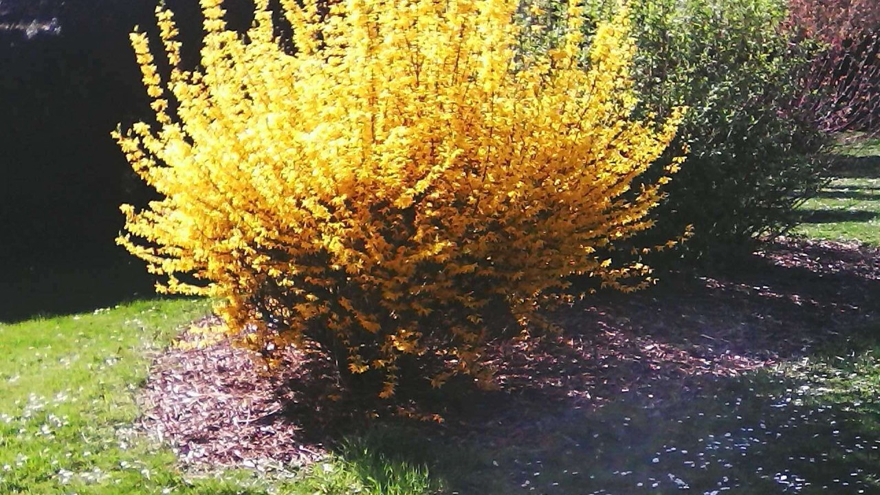 Photo of Outdoor in Saint-Bauzille-de-la-Sylve