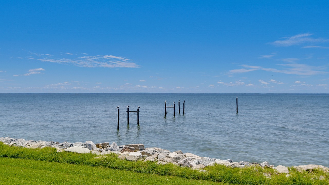 Photo of Others in Point Lookout