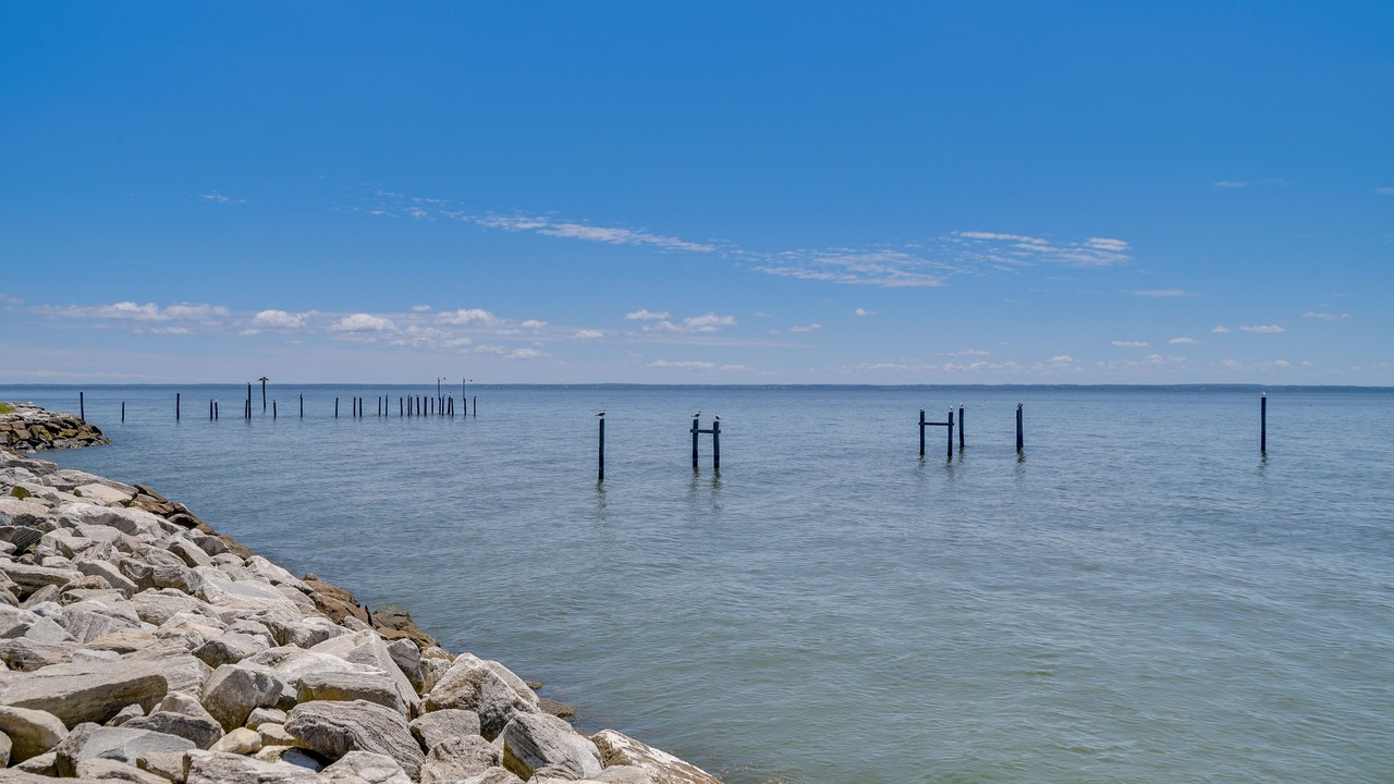 Photo of Others in Point Lookout