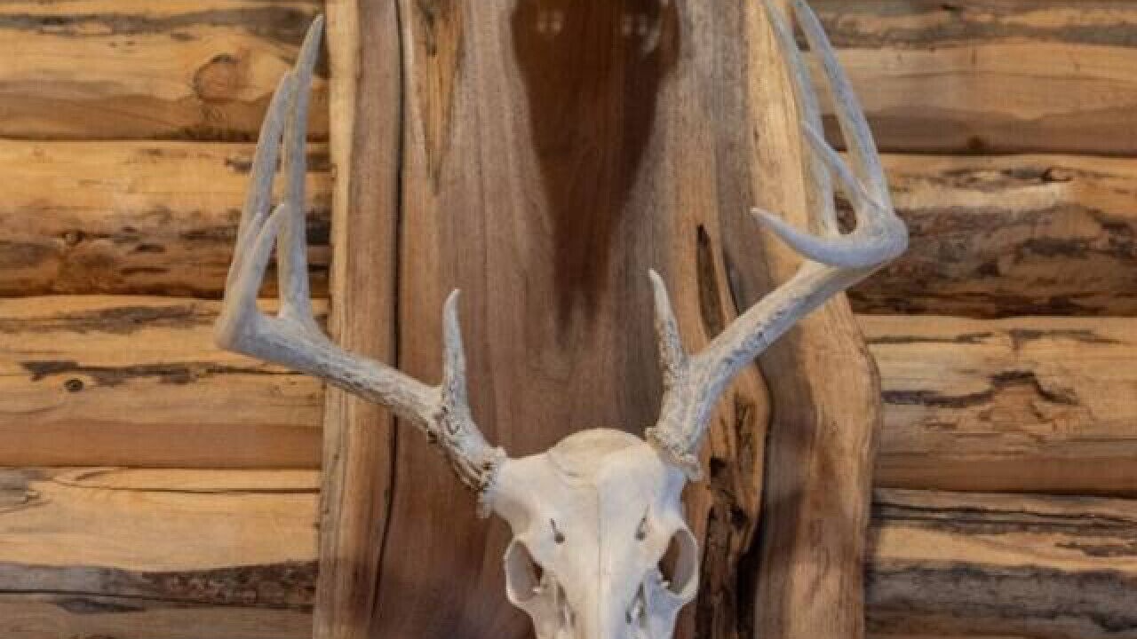 Photo of Others in Island Park