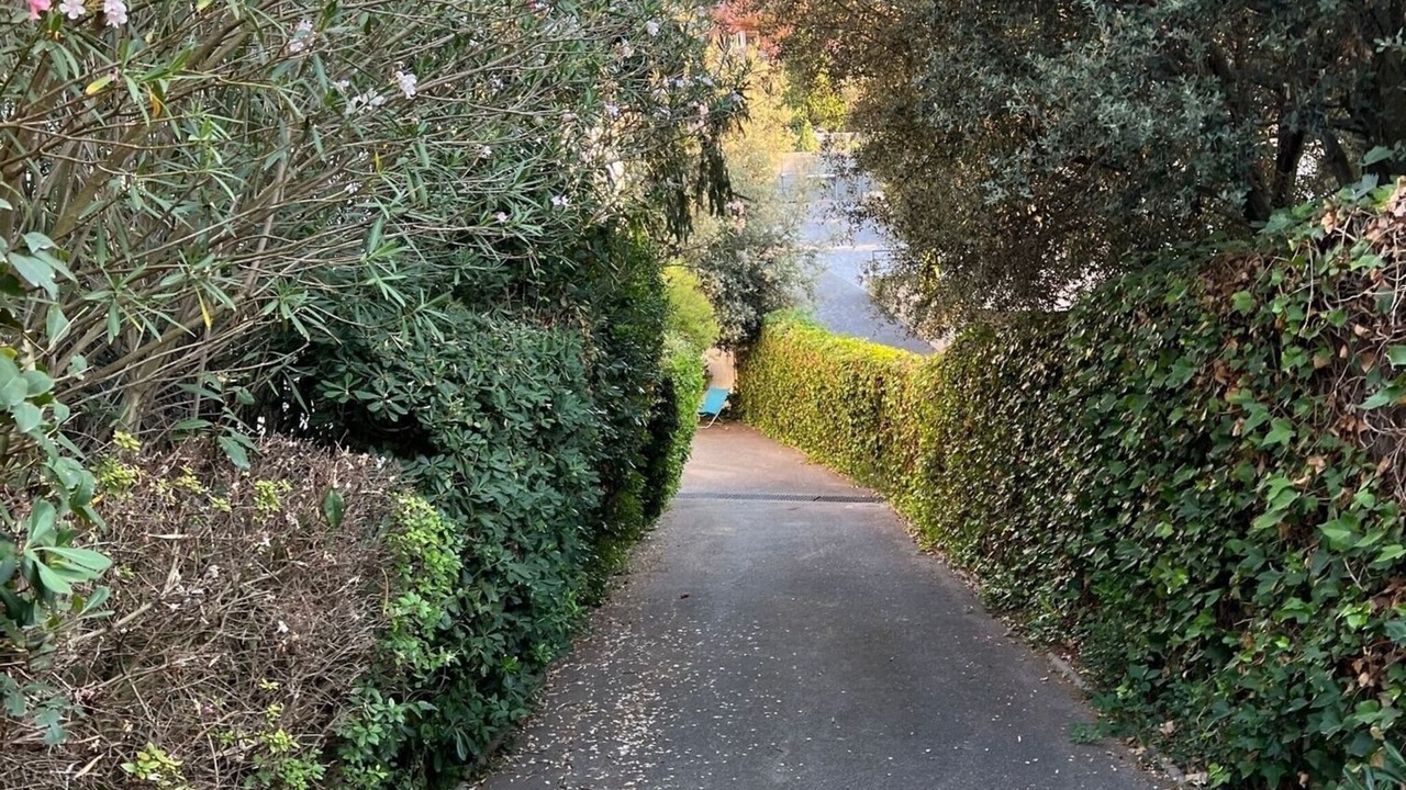 Photo of Outdoor in St. Llorenc