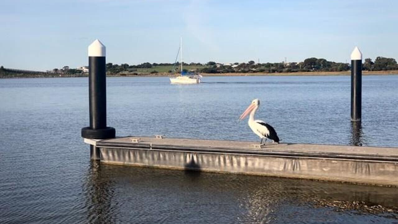 Photo of Others in Goolwa South