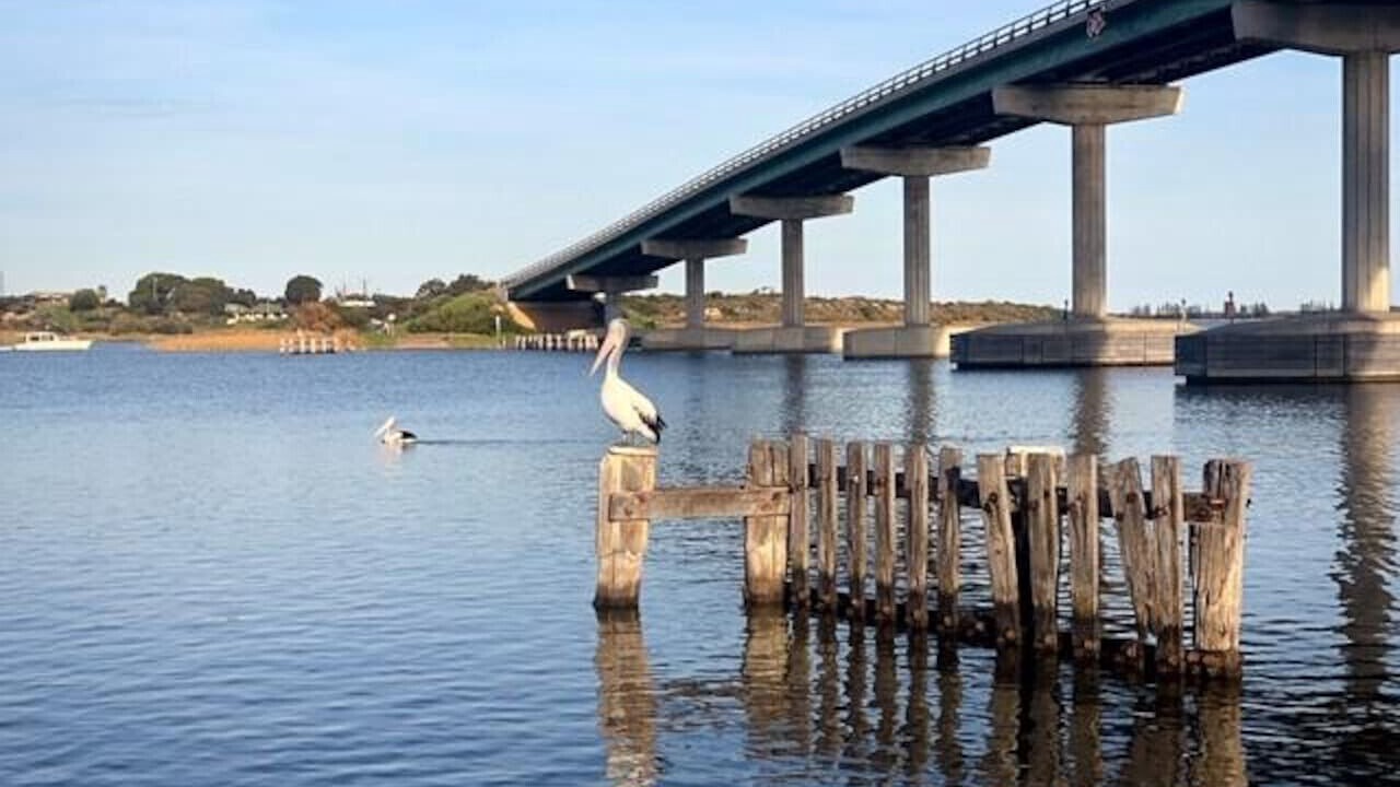 Photo of Others in Goolwa South