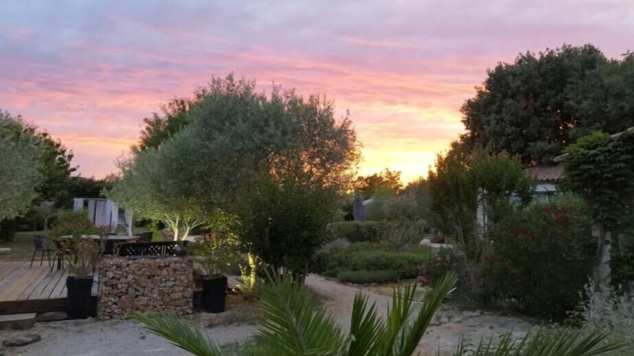 Photo of Outdoor in Gras