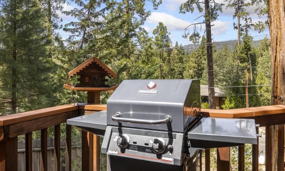 Photo of Outdoor in Idyllwild
