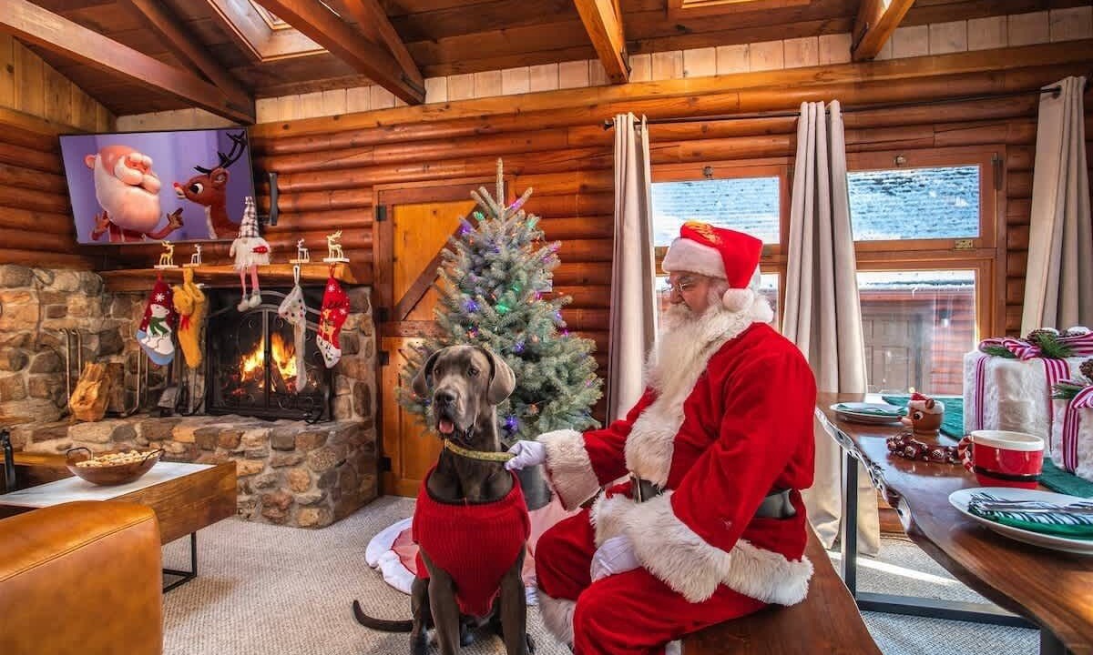 Photo of Others in Idyllwild