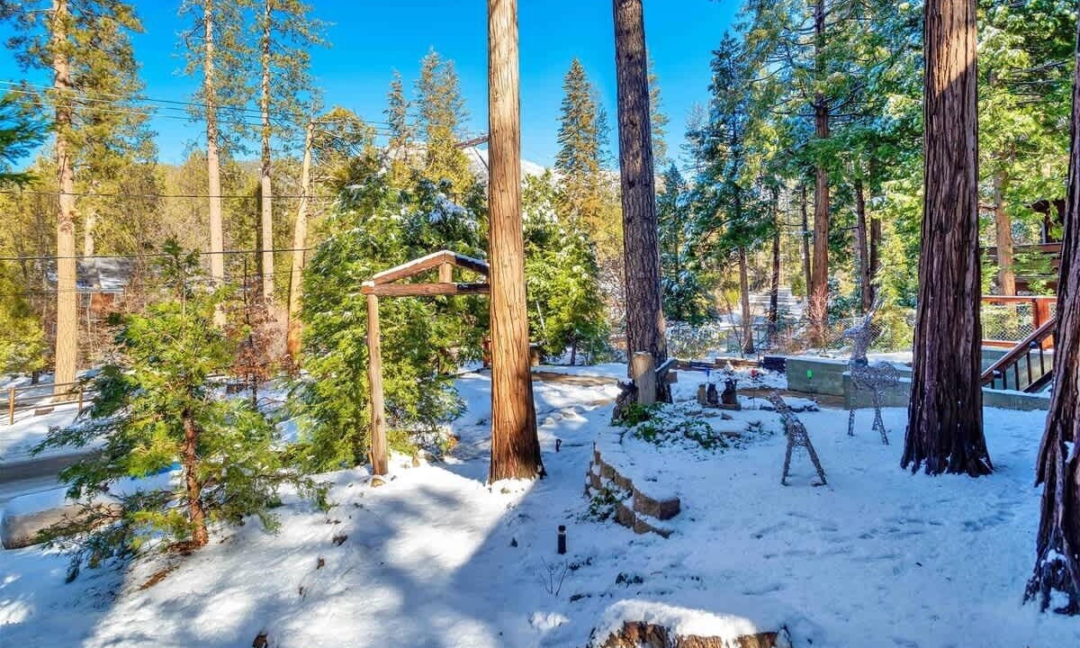 Photo of Others in Idyllwild