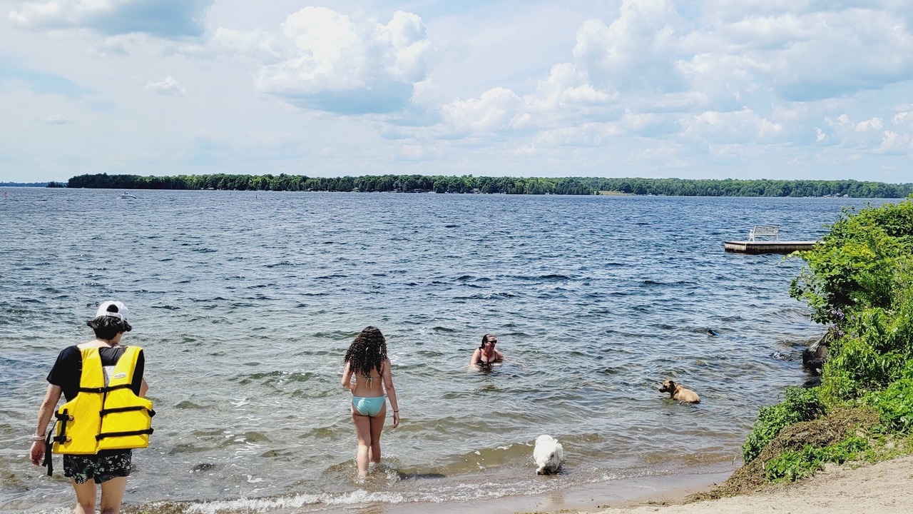 Photo of Others in Rosedale