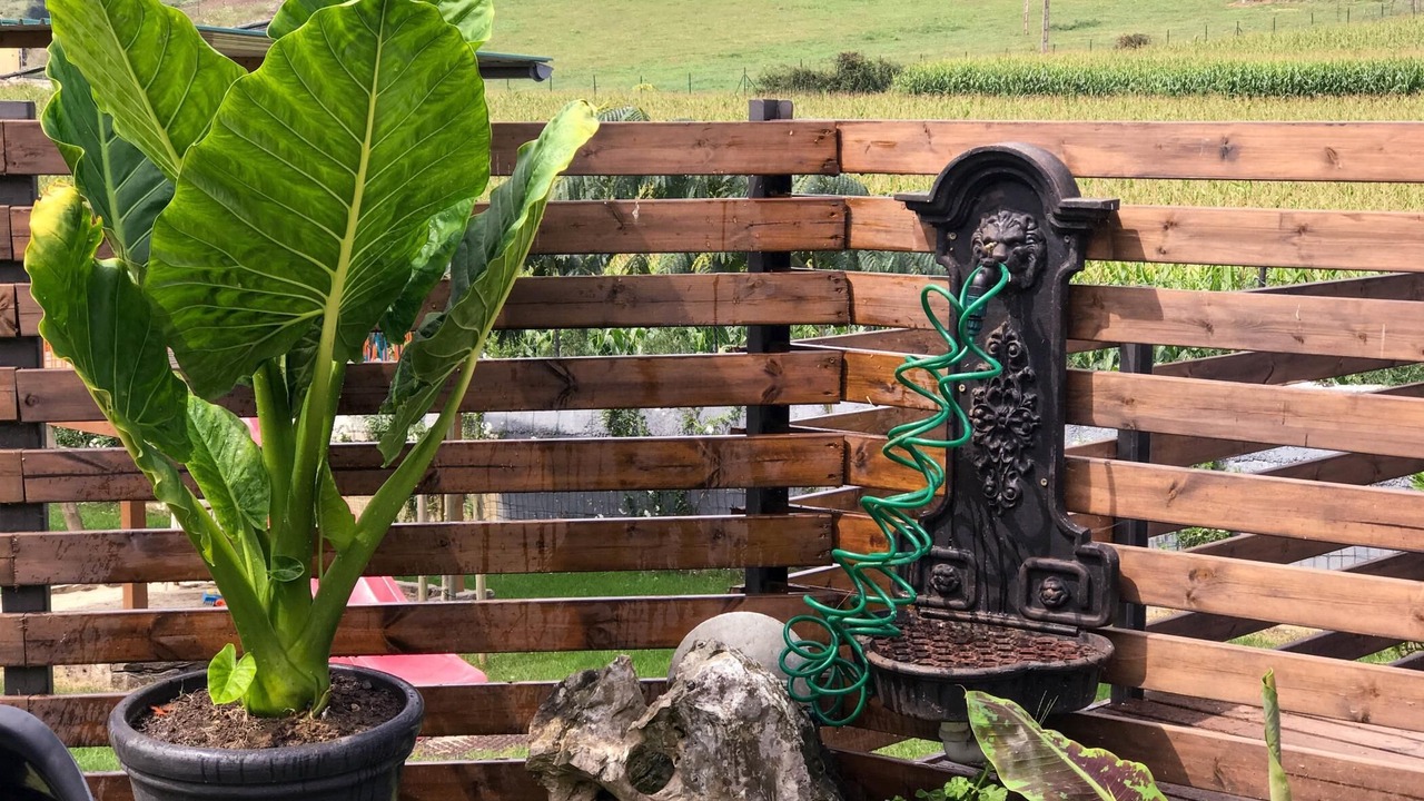 Photo of Outdoor in Pielagos