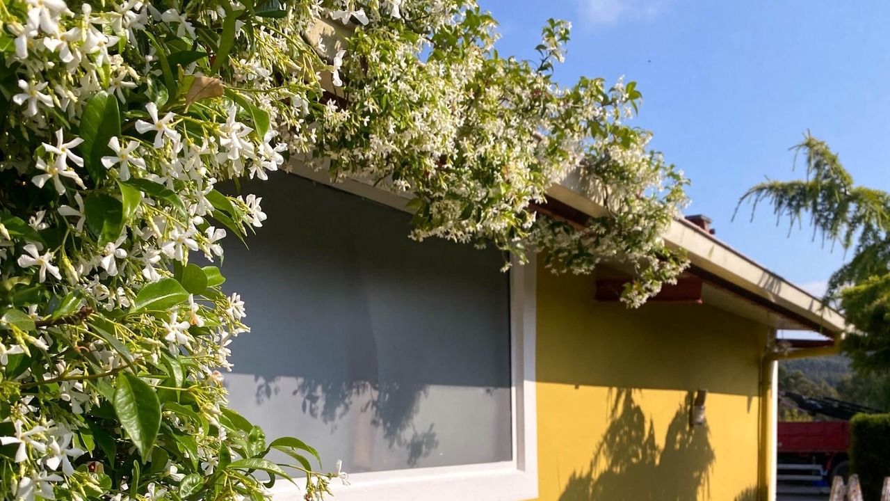 Photo of Outdoor in Pielagos