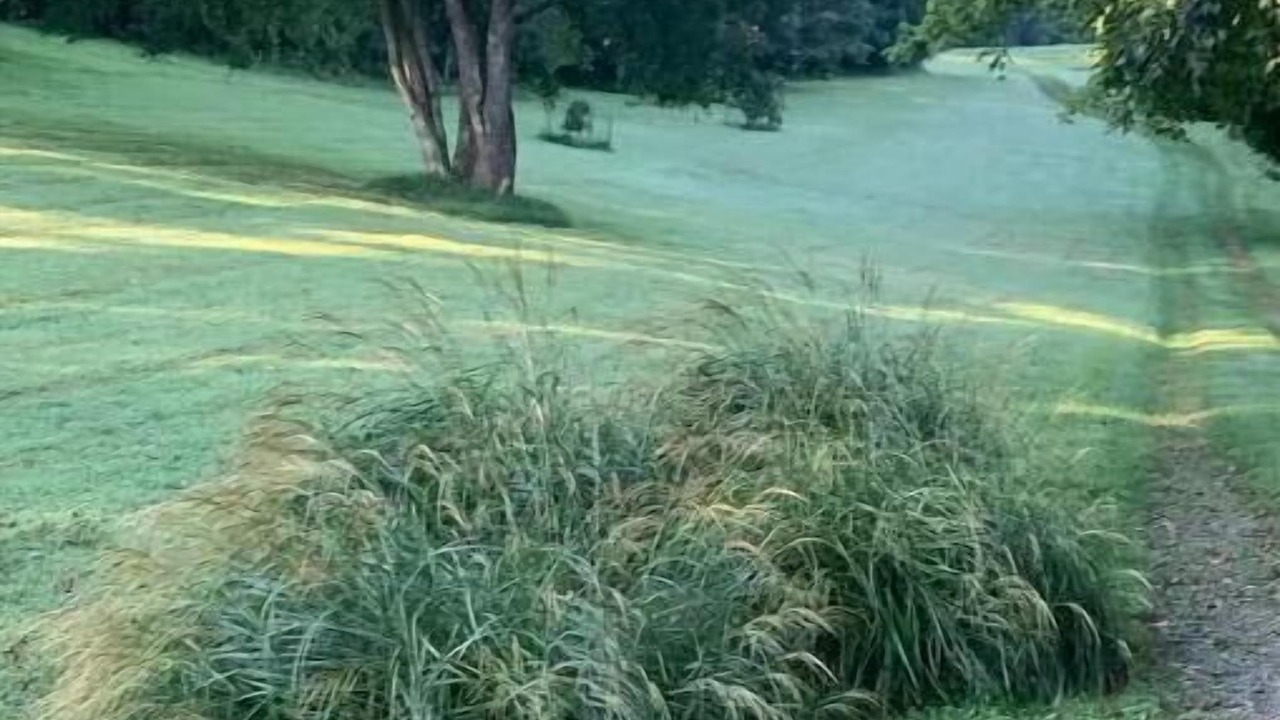 Photo of Outdoor in Cardiff