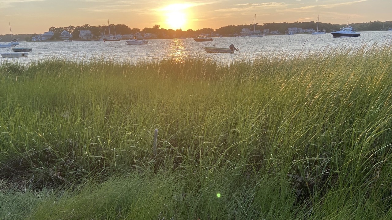 Photo of Others in Wareham