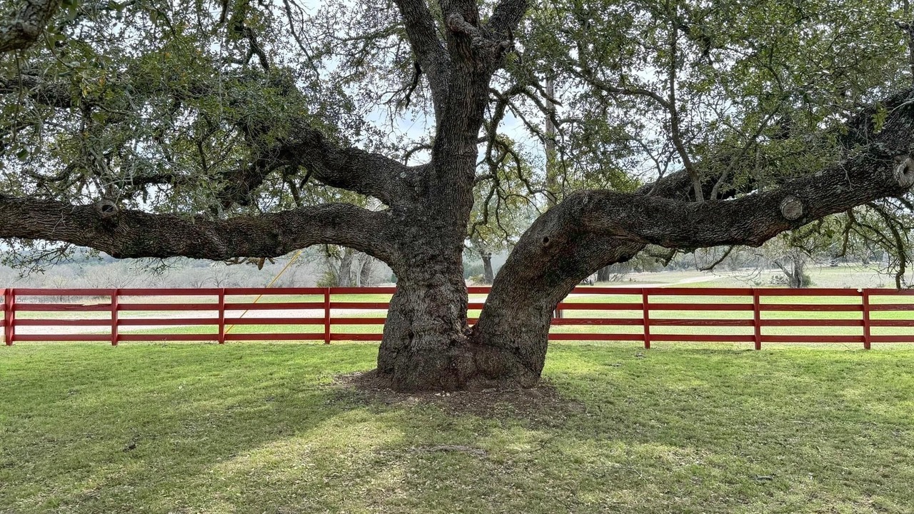 Photo of Outdoor in Lampasas