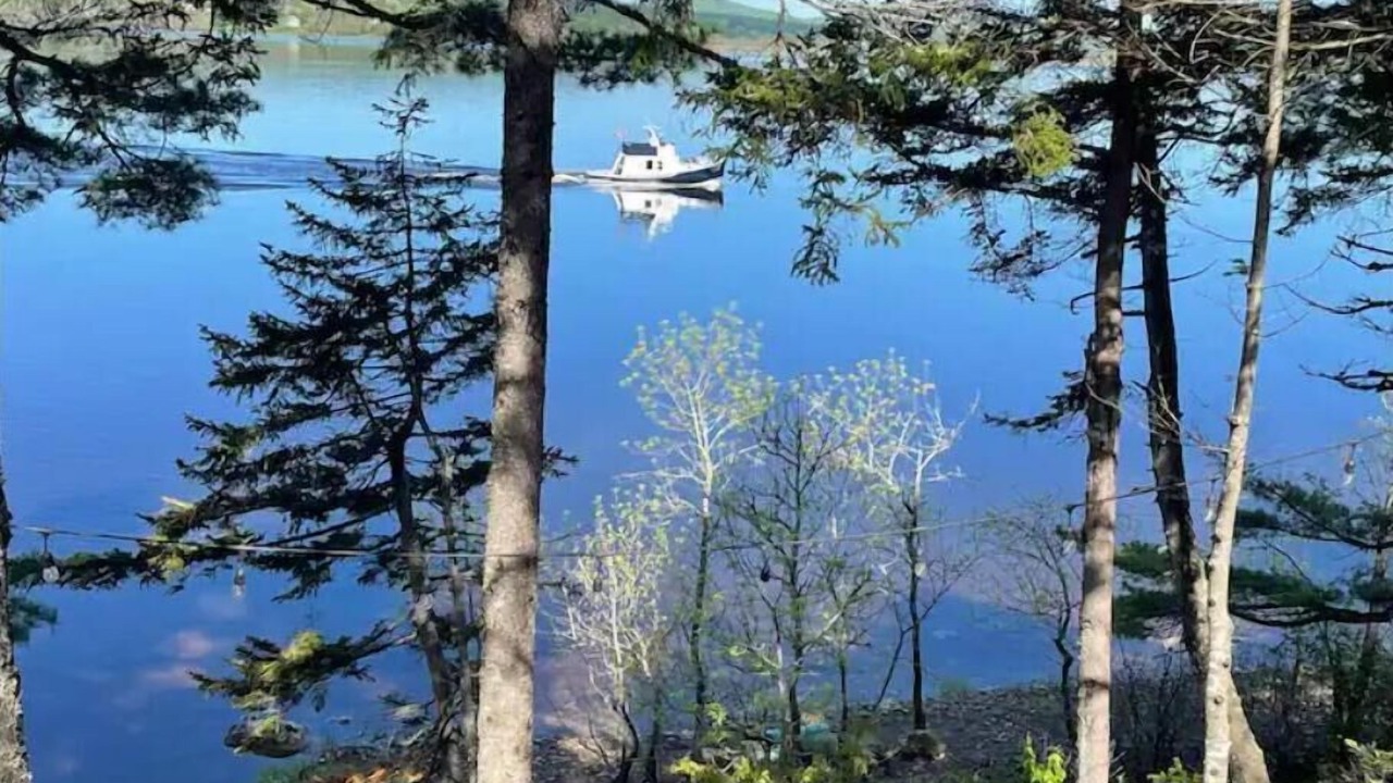 Photo of Others in Hardings Point