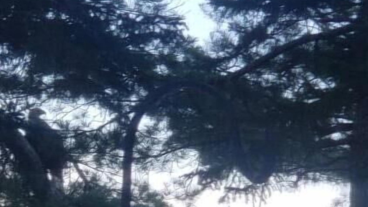 Photo of Others in Hardings Point