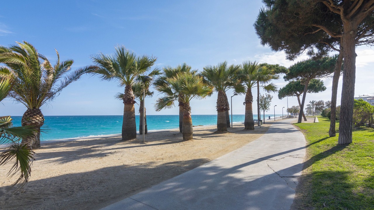 Photo of Others in Pineda de Mar