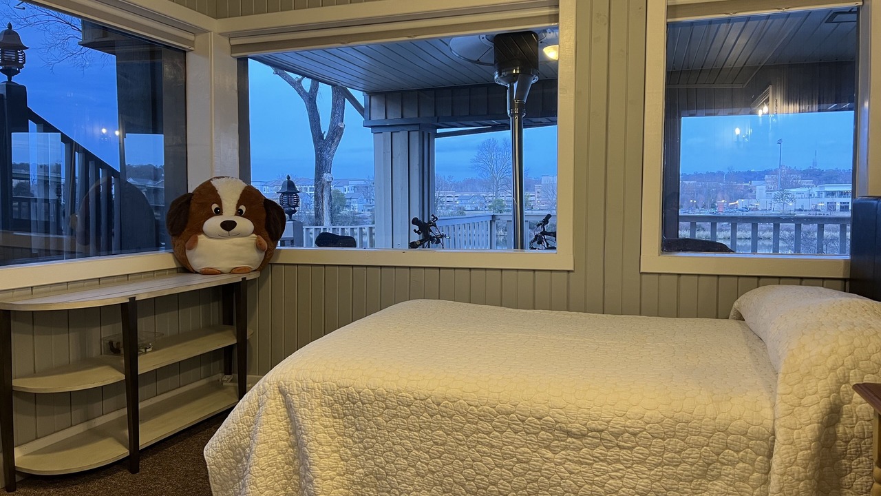 Photo of Bedroom in West End