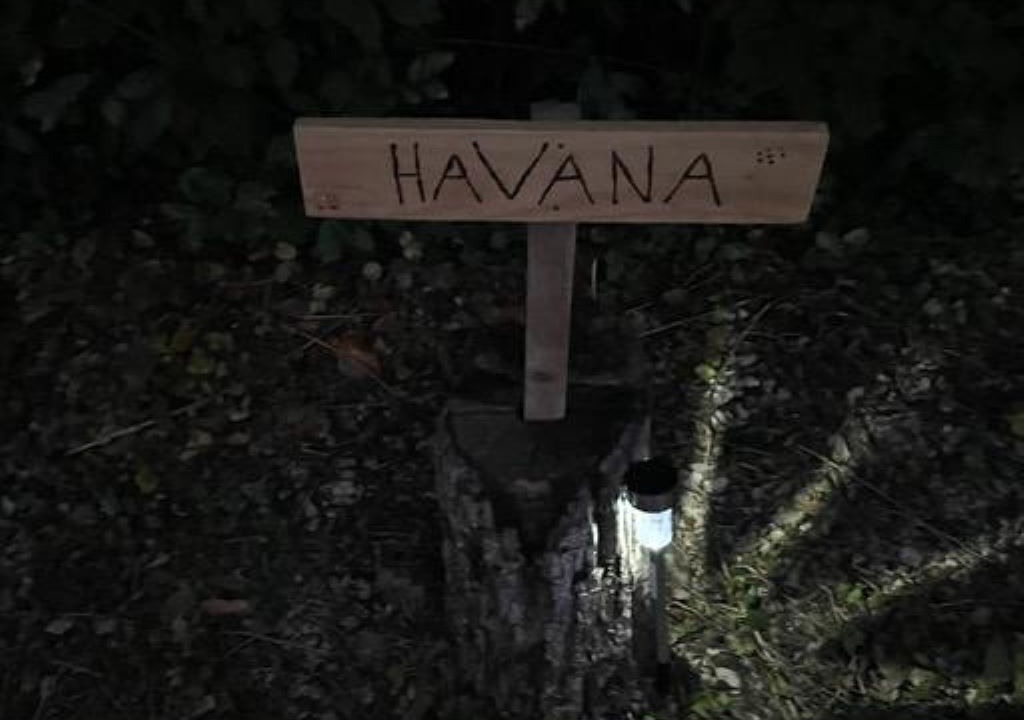 Photo of Outdoor in Payrac