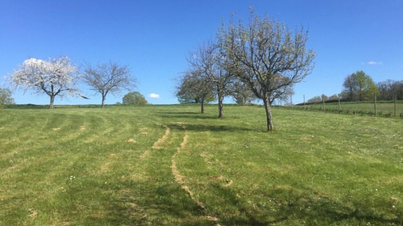 Photo of Outdoor in Payrac