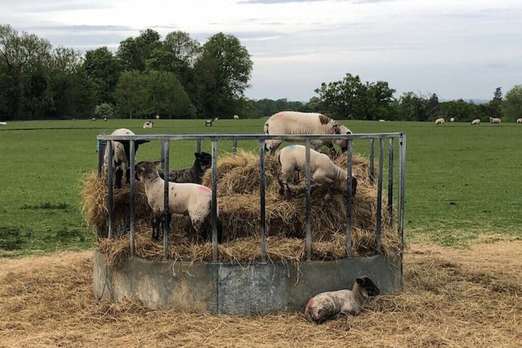 Photo of Others in Lullington