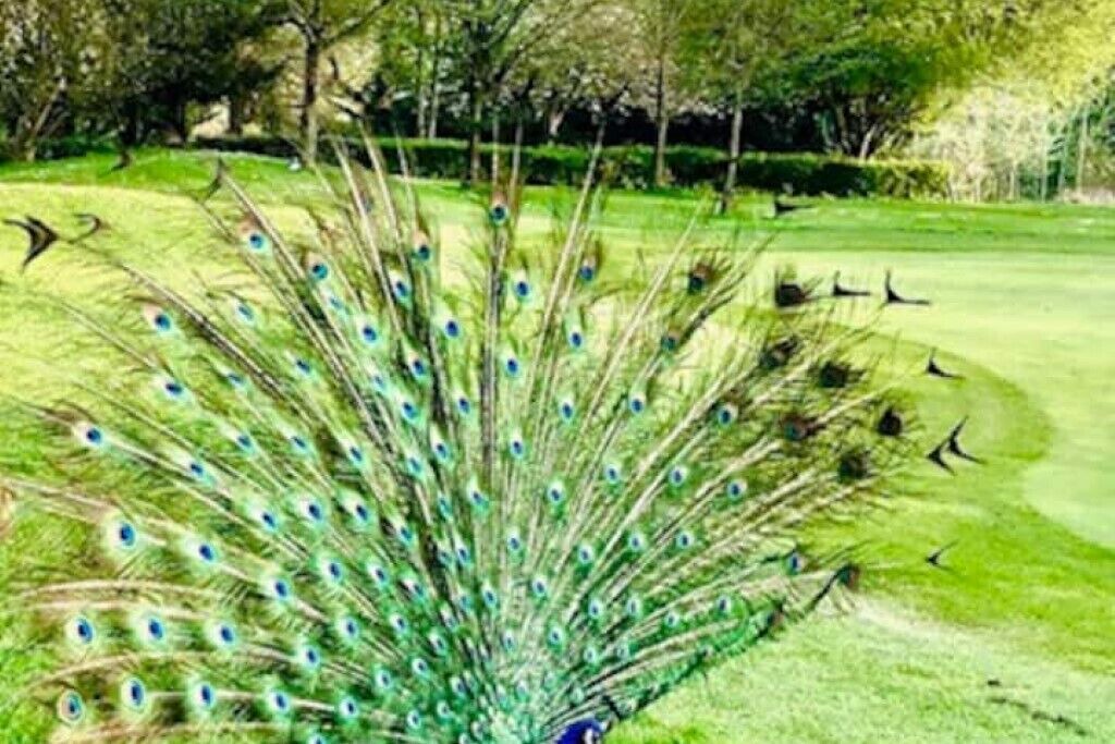 Photo of Others in Lullington