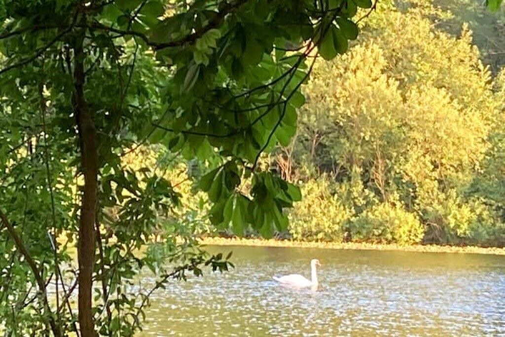 Photo of Others in Lullington