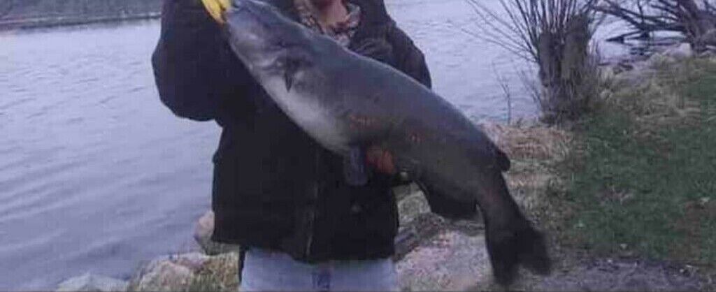 Photo of Others in Spirit Lake
