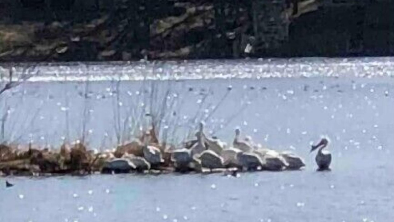 Photo of Others in Spirit Lake