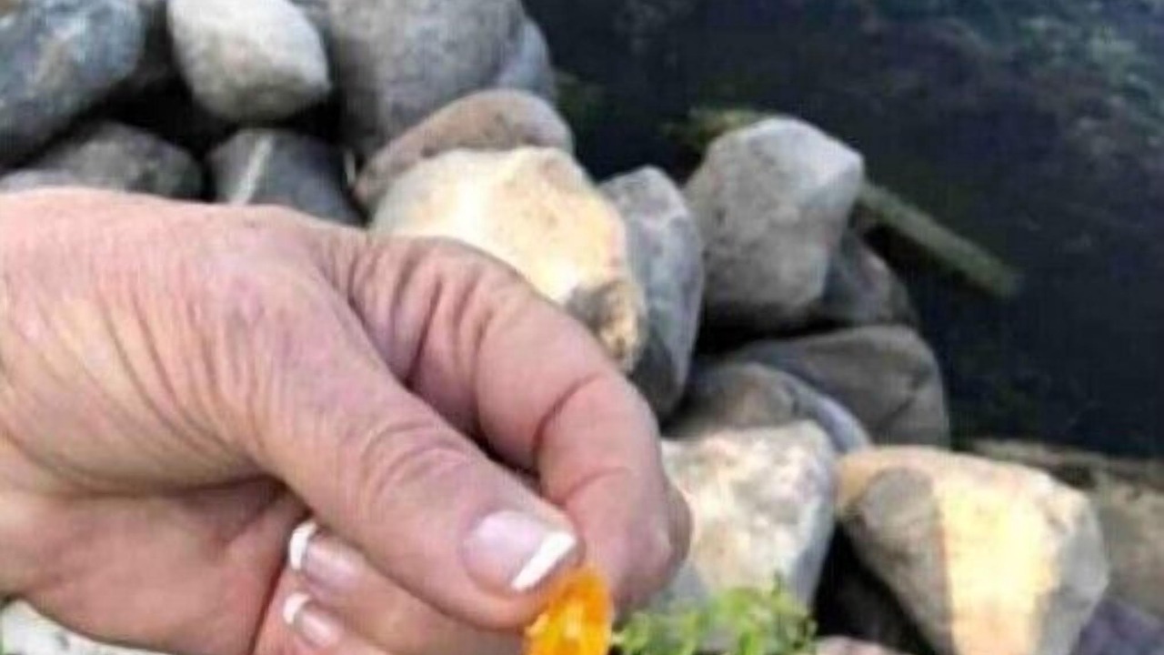 Photo of Others in Spirit Lake