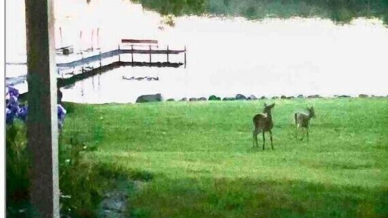 Photo of Others in Spirit Lake