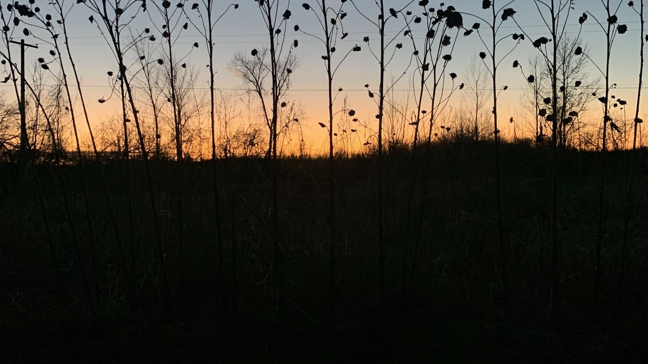 Photo of Others in Rooseveltown