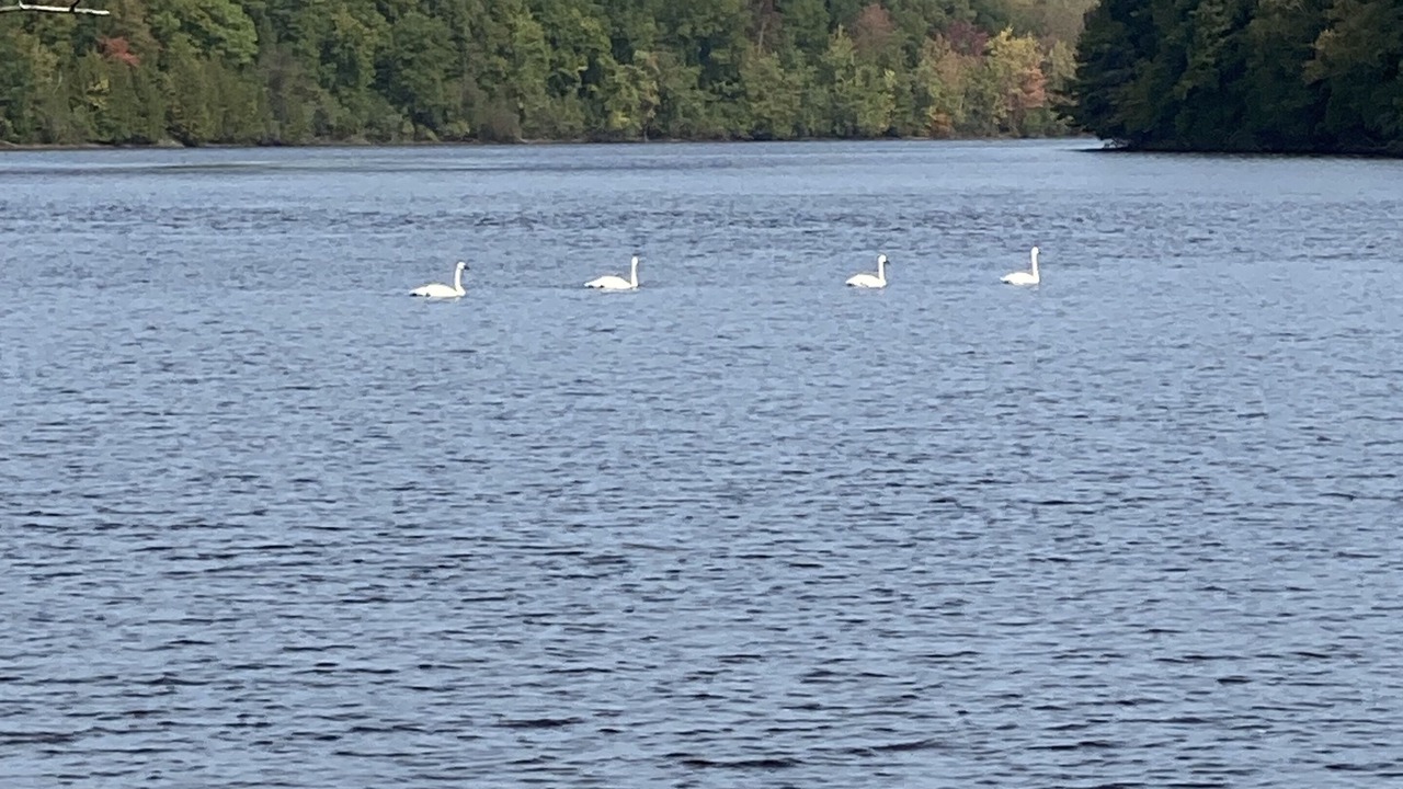 Photo of Outdoor in Rooseveltown