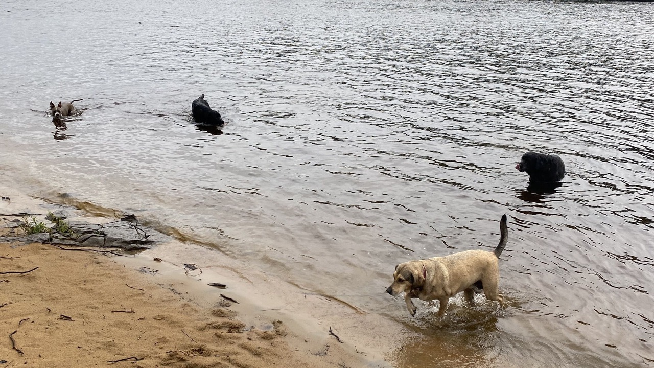 Photo of Others in Rooseveltown