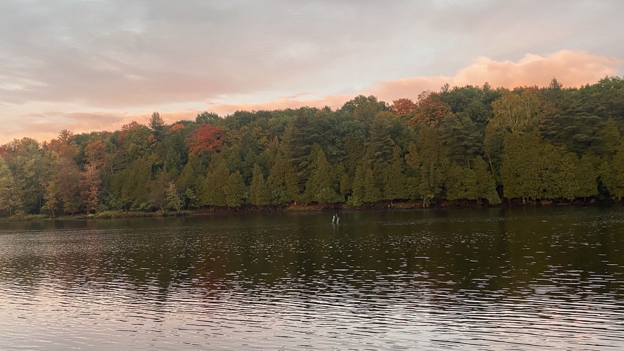 Photo of Others in Rooseveltown