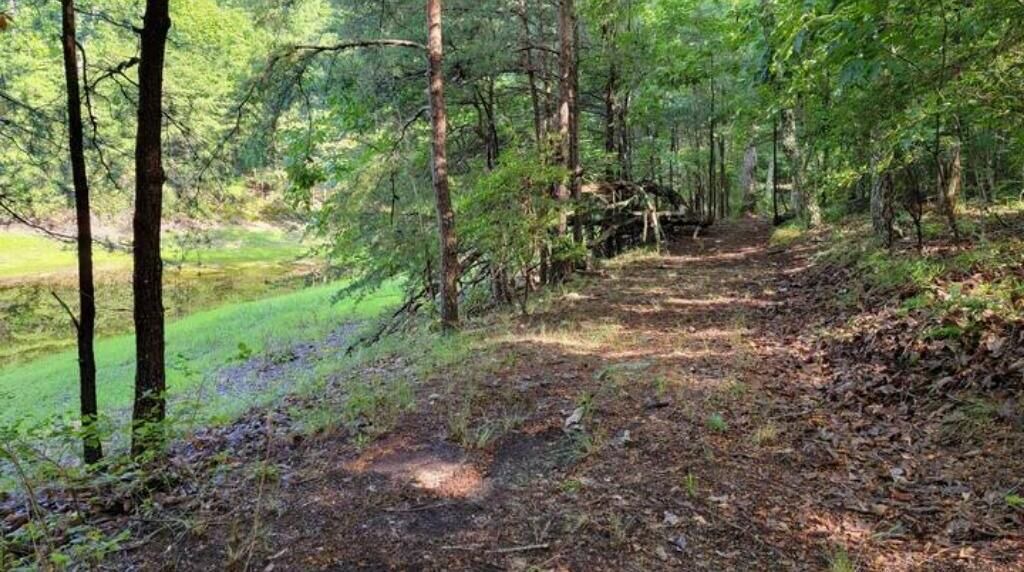 Photo of Others in Rising Fawn